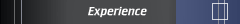 Experience