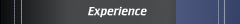 Experience