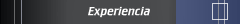 Experiencia