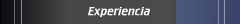 Experiencia