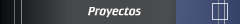 Proyectos