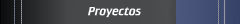Proyectos