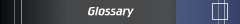 Glossary