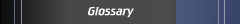 Glossary
